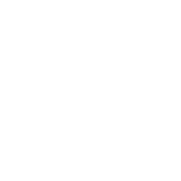 Bondi Lines Logo