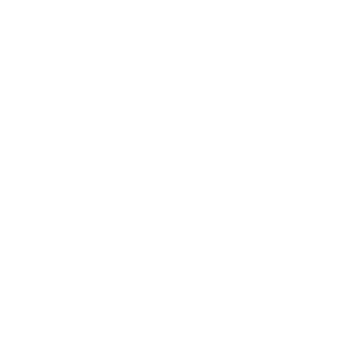 Bondi Lines Logo